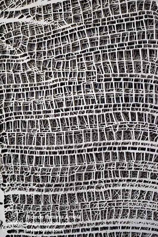 02ricardoramirezarriola-7742