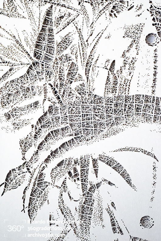 05ricardoramirezarriola-7795