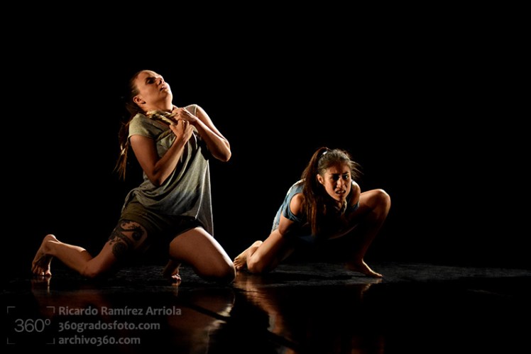 cricardoramirezarriola-8426