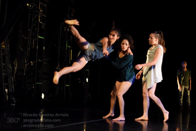 cricardoramirezarriola-8509