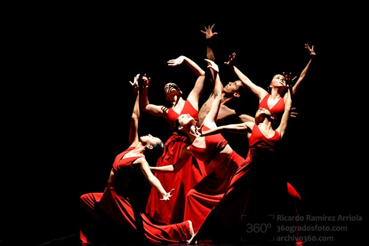 dricardoramirezarriola-3428