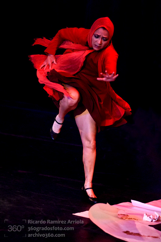 dricardoramirezarriola-3811