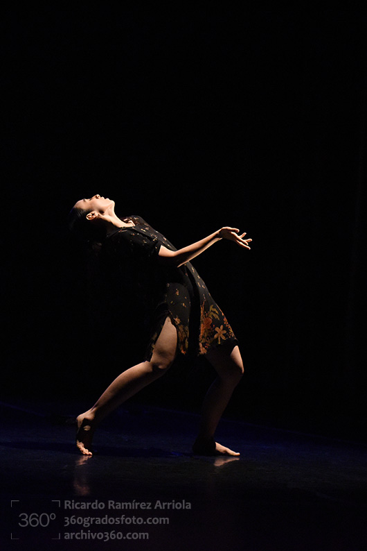 dricardoramirezarriola-4070