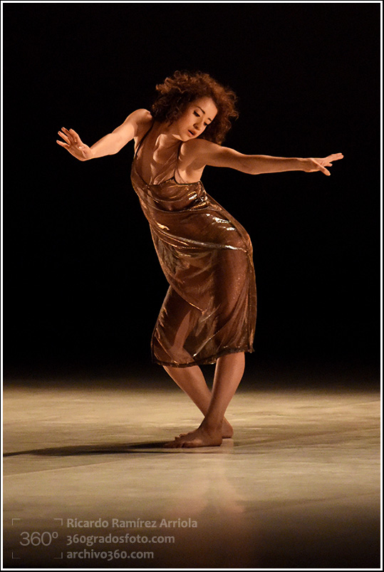 04ricardoramirezarriola5536