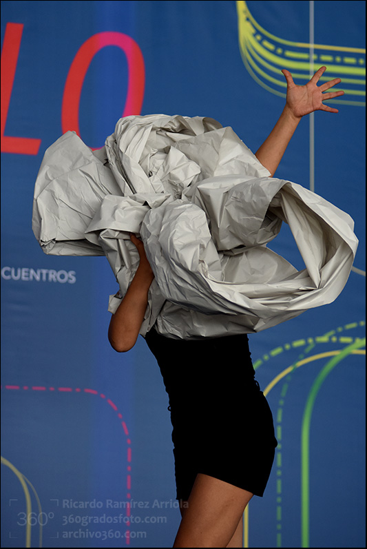 04ricardoramirezarriola7354