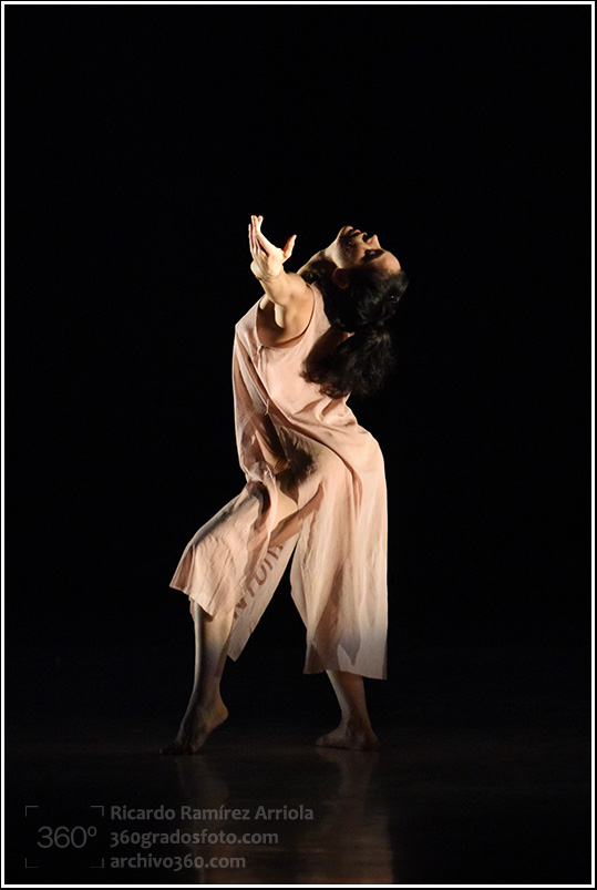 07ricardoramirezarriola5726