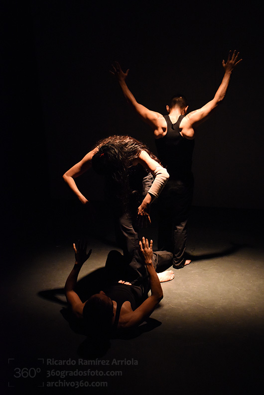 08ricardoramirezarriola-3629