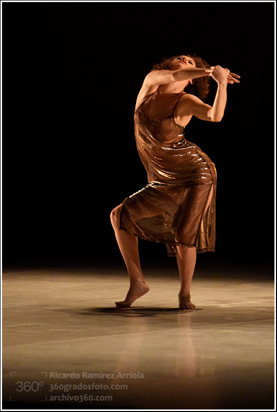 08ricardoramirezarriola5501