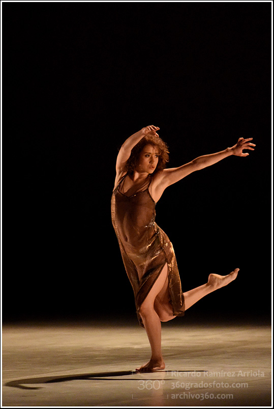 10ricardoramirezarriola5558