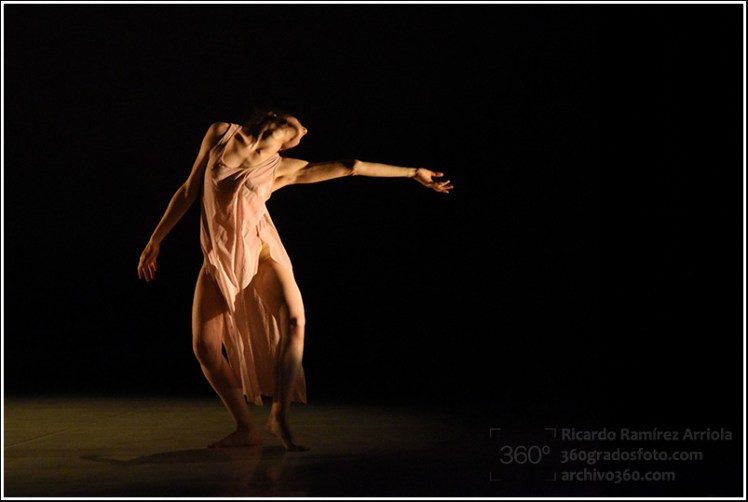 11ricardoramirezarriola5805