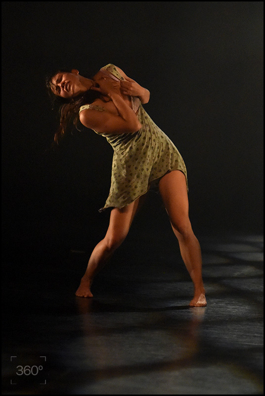 12ricardoramirezarriola3810