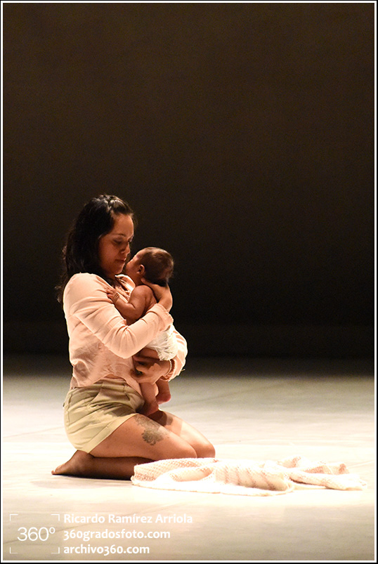 13ricardoramirezarriola5399