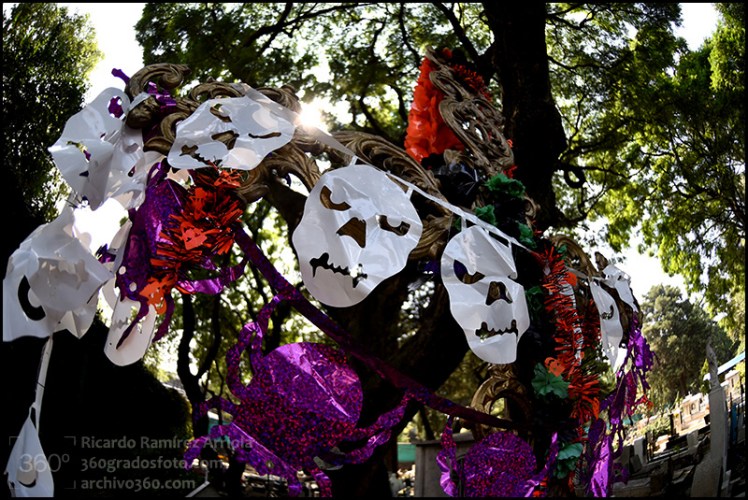 29ricardoramirezarriola3320