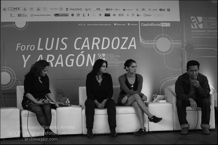 b11ricardoramirezarriola9979