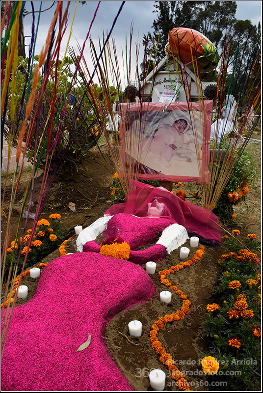 bricardoramirezarriola4153