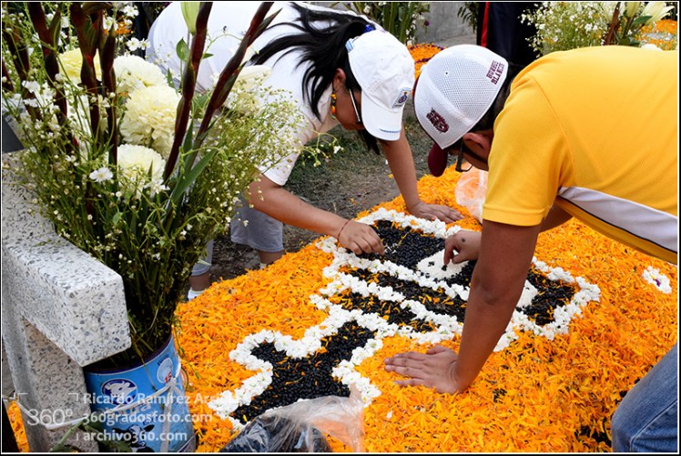 dricardoramirezarriola3901