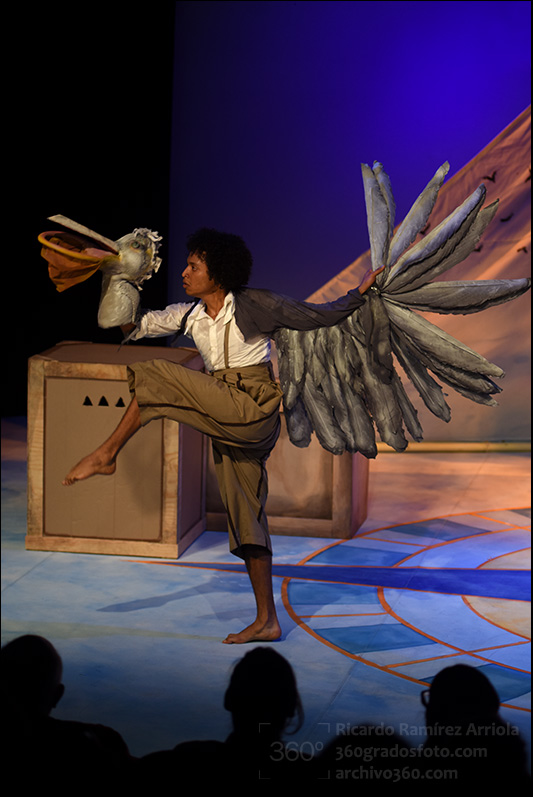 ricardoramirezarriola2158