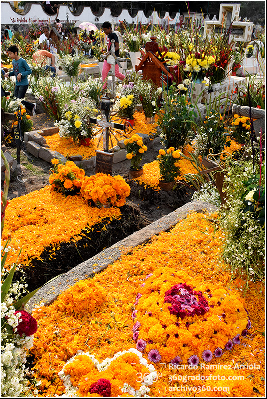 ricardoramirezarriola3942