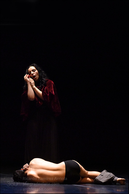 ricardoramirezarriola5540