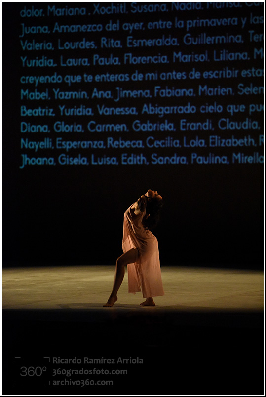 ricardoramirezarriola5821