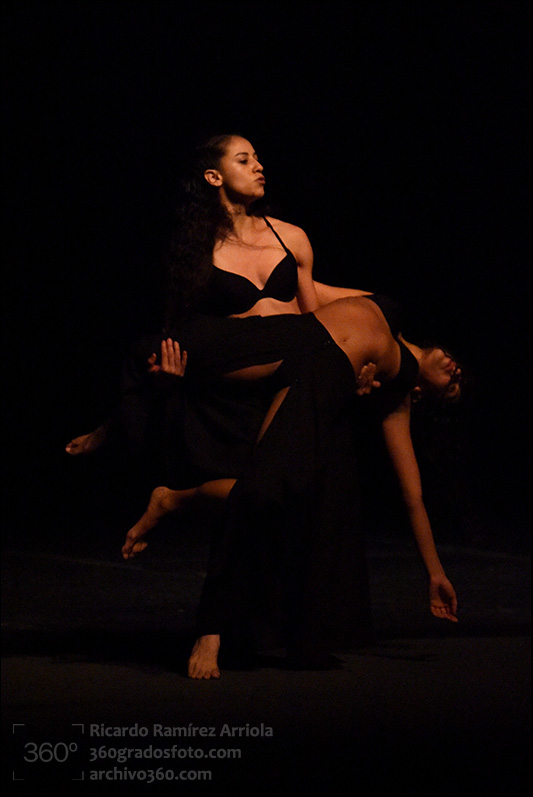 ricardoramirezarriola6317