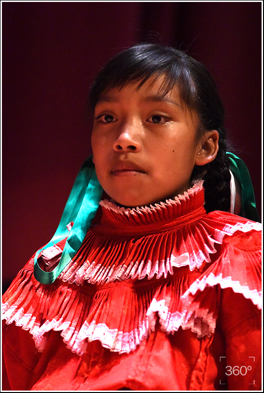 11ricardoramirezarriola5052