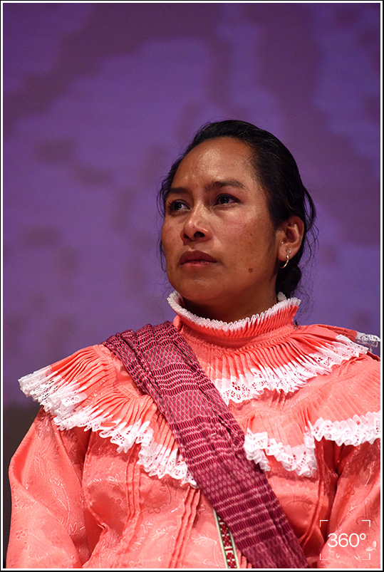 12ricardoramirezarriola6191