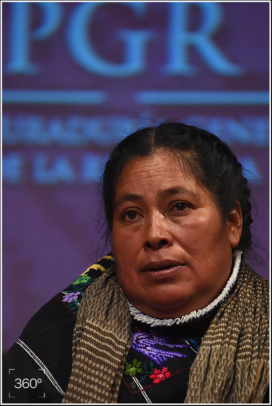 14ricardoramirezarriola6053